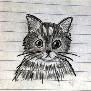 cat on binder paper