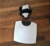 panda-by-scale