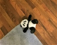 panda-on-floor-bedroom