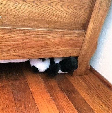 panda-under-bed