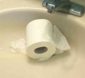 toilet-paper-in-sink