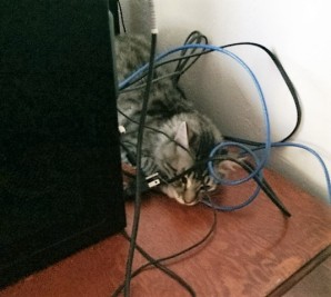 playing-with-wires