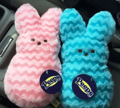 peeps-first-2