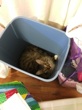 in waste basket