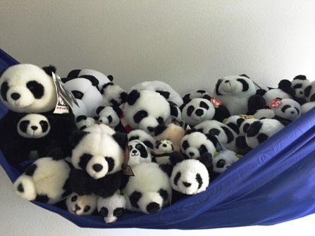 pandas in hammock