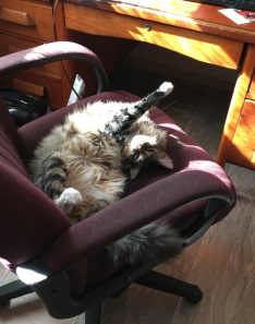 sun on chair 2