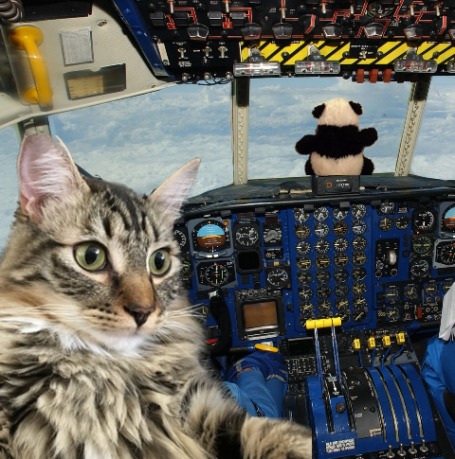 both in cockpit 2