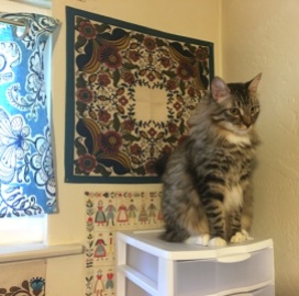 Foster on plastic cabinet