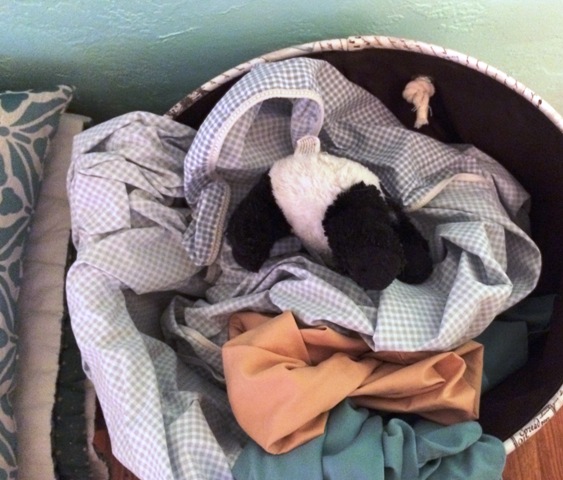 panda in laundry 2