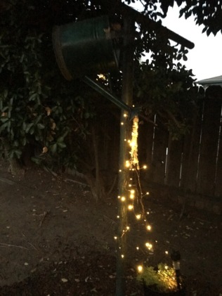 solar lights watering can