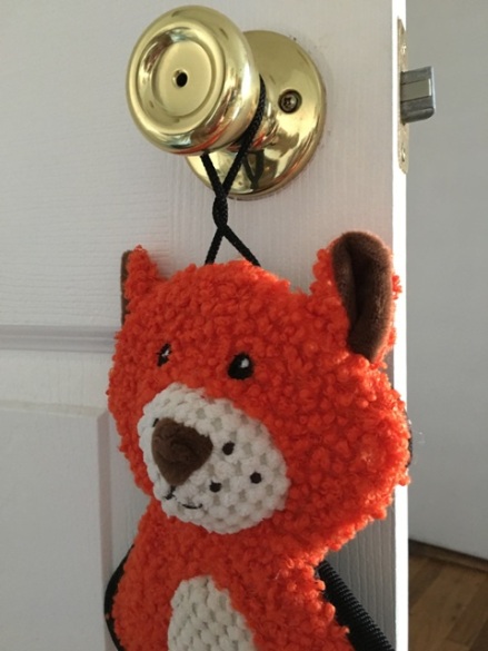 fox on door