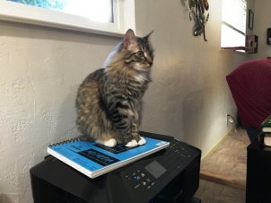 on printer