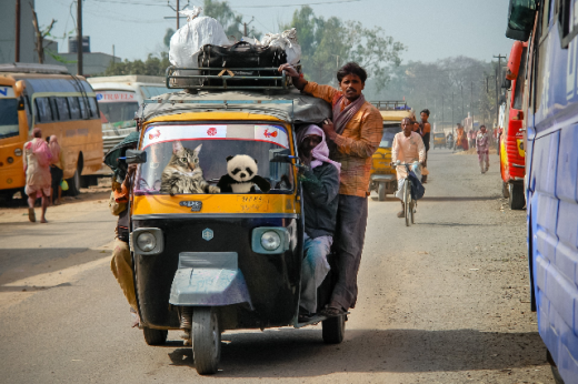 rickshaw ride2