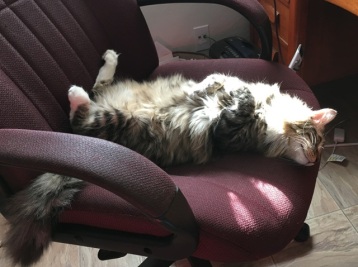 sun on chair