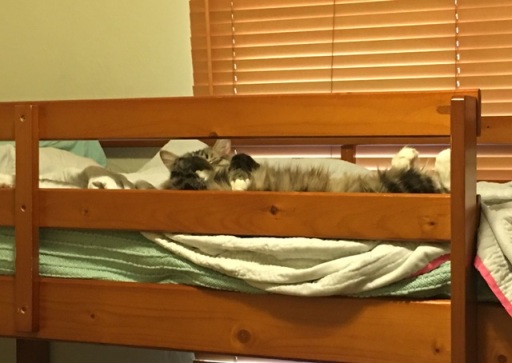 feet on bunk bed