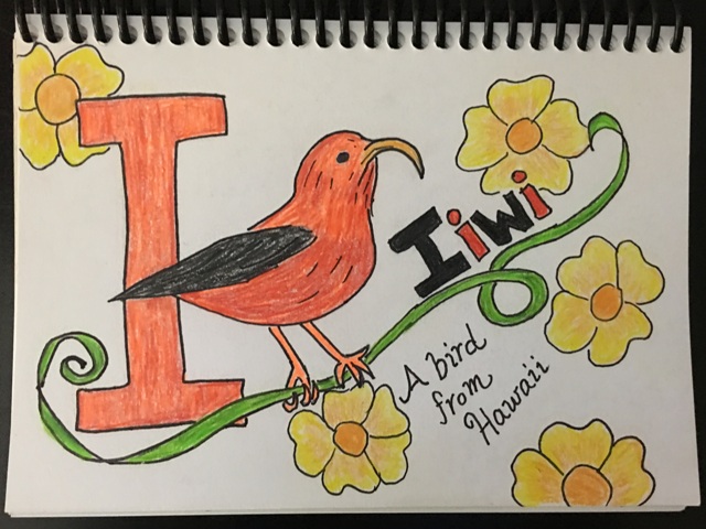 Iiwi bird