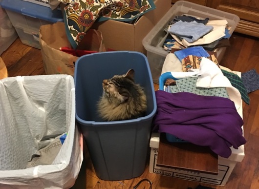 in waste basket
