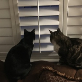 both at window