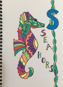seahorse progress