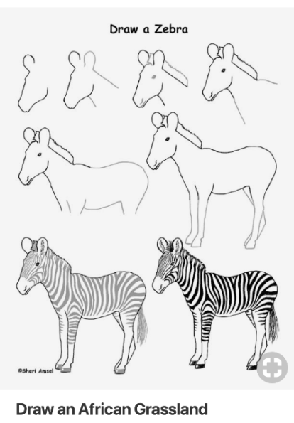 zebra directions
