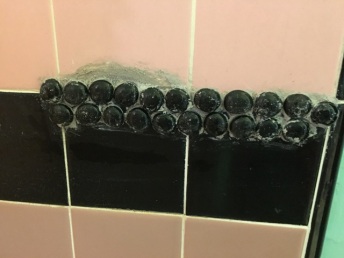 black gems in shower