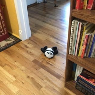 panda in doorway