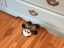 panda and blue dresser