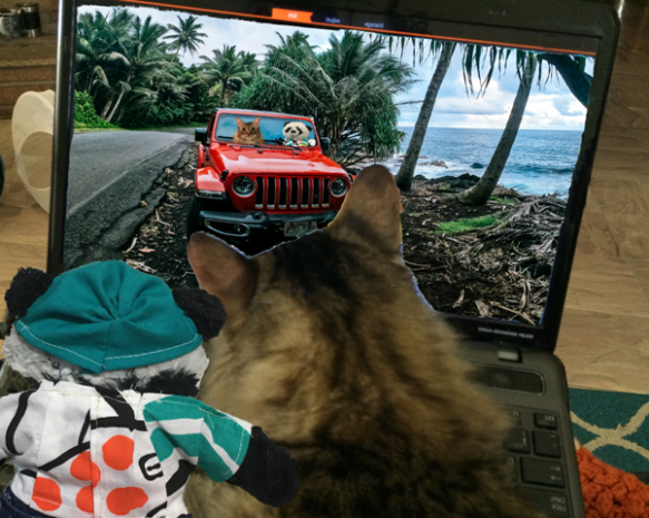 a driving jeep on computer