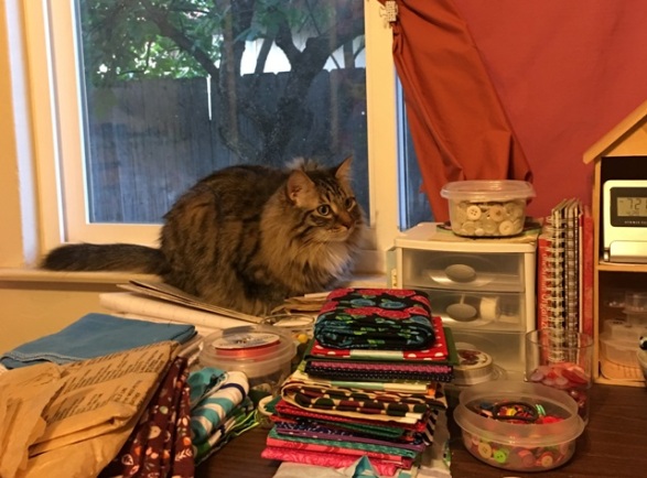 foster on window sill sewing