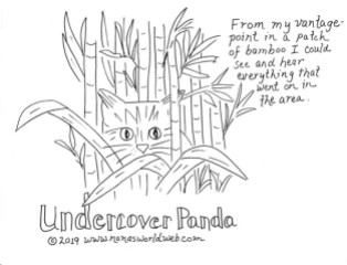 Undercover Panda 1 a