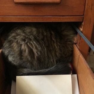 in drawer with paper