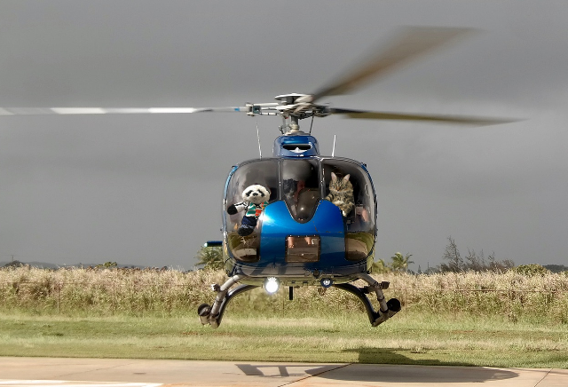 a landing helicopter