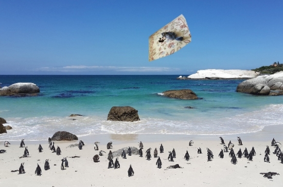 a flying over penguins