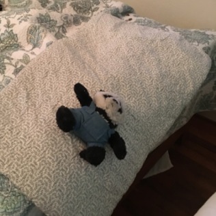 panda on end of bed